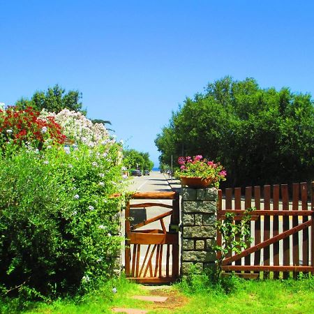 Bed and Breakfast Phocea San Teodoro  Exterior foto